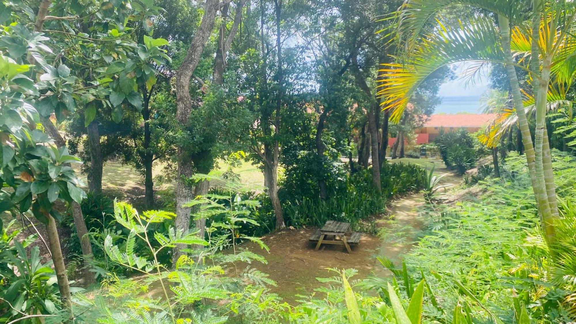 Вилла Secret Garden Сент-Анн Экстерьер фото